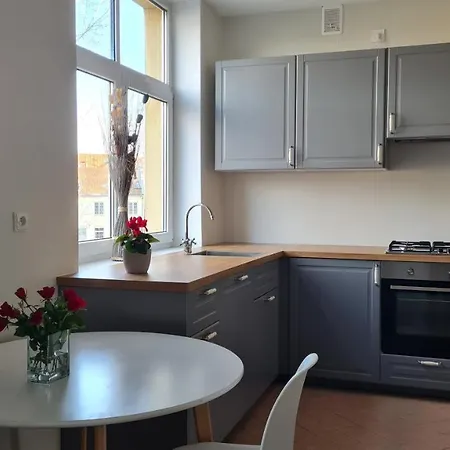 Apartment Rehouse Vokieciu Str.9, 2 Bedroom *