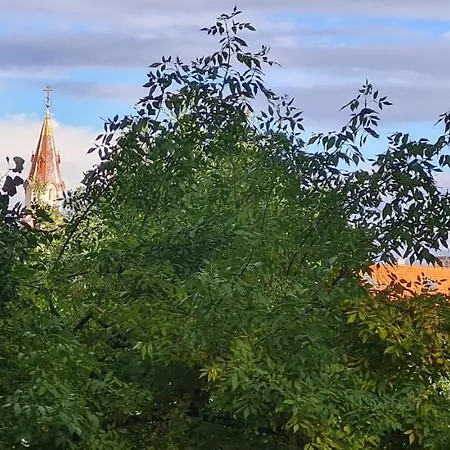 Rehouse Vokieciu Str.9, 2 Bedroom